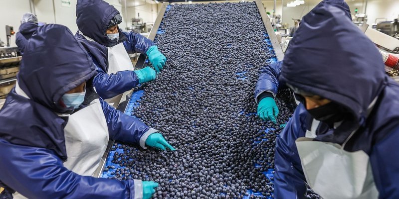Agroexportaciones crecieron 22.7% entre enero y noviembre del 2024